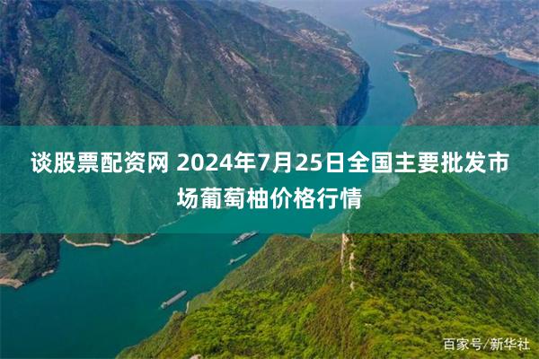 谈股票配资网 2024年7月25日全国主要批发市场葡萄柚价格行情