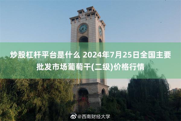 炒股杠杆平台是什么 2024年7月25日全国主要批发市场葡萄干(二级)价格行情