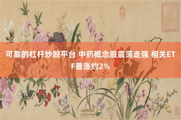 可靠的杠杆炒股平台 中药概念股震荡走强 相关ETF普涨约2%