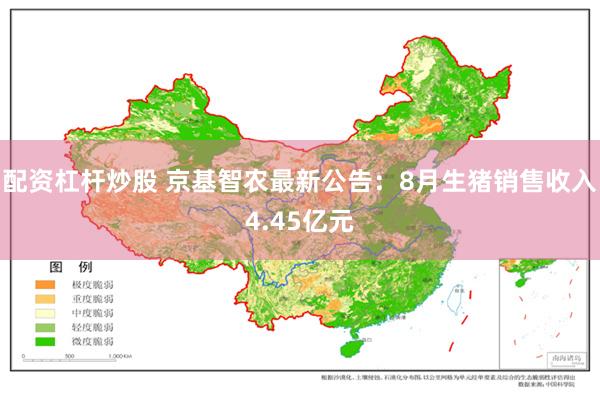 配资杠杆炒股 京基智农最新公告：8月生猪销售收入4.45亿元