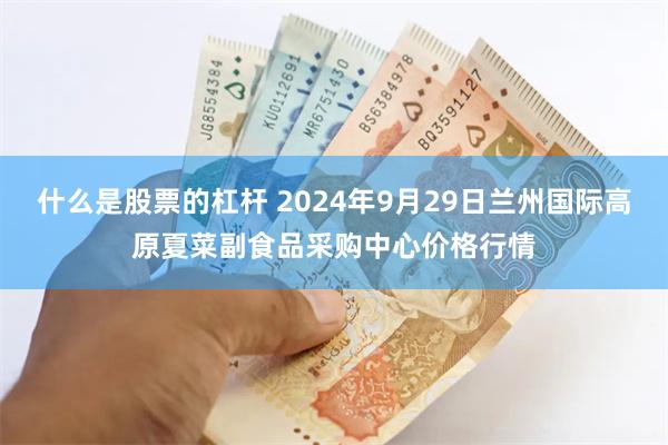 什么是股票的杠杆 2024年9月29日兰州国际高原夏菜副食品采购中心价格行情