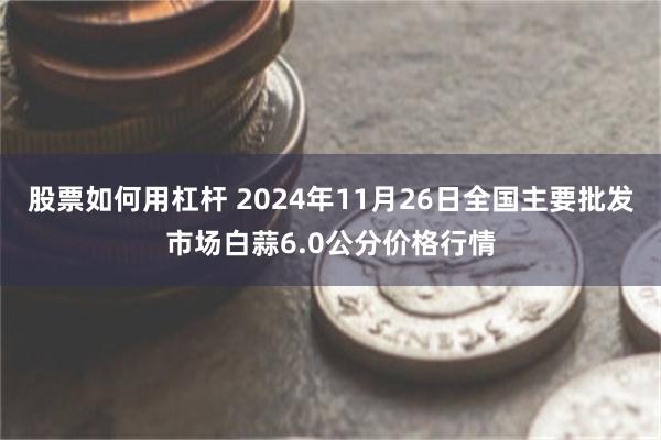 股票如何用杠杆 2024年11月26日全国主要批发市场白蒜6.0公分价格行情