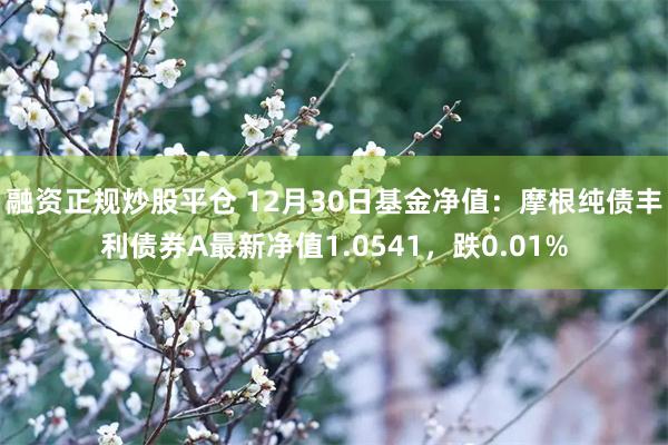 融资正规炒股平仓 12月30日基金净值：摩根纯债丰利债券A最新净值1.0541，跌0.01%