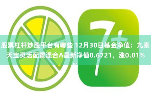 股票杠杆炒股平台有哪些 12月30日基金净值：九泰天宝灵活配置混合A最新净值0.6721，涨0.01%