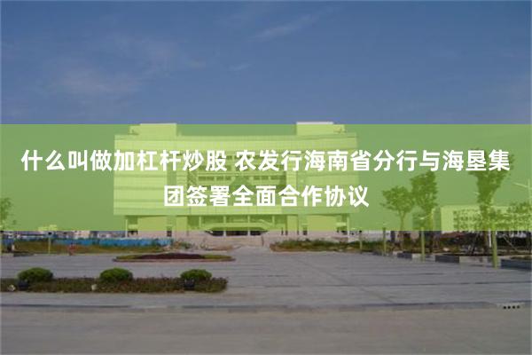 什么叫做加杠杆炒股 农发行海南省分行与海垦集团签署全面合作协议