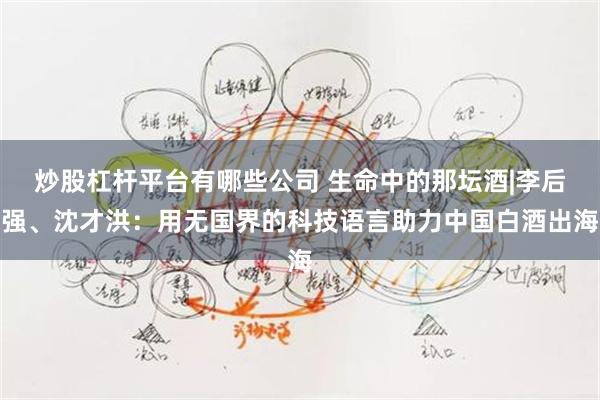 炒股杠杆平台有哪些公司 生命中的那坛酒|李后强、沈才洪：用无国界的科技语言助力中国白酒出海