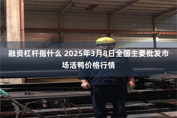 融资杠杆指什么 2025年3月8日全国主要批发市场活鸭价格行情